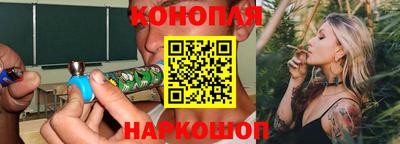 шишки Балашиха