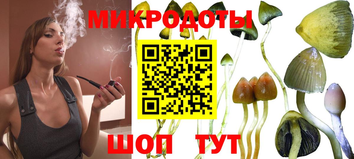 Псилоцибиновые грибы мухоморы Димитровград