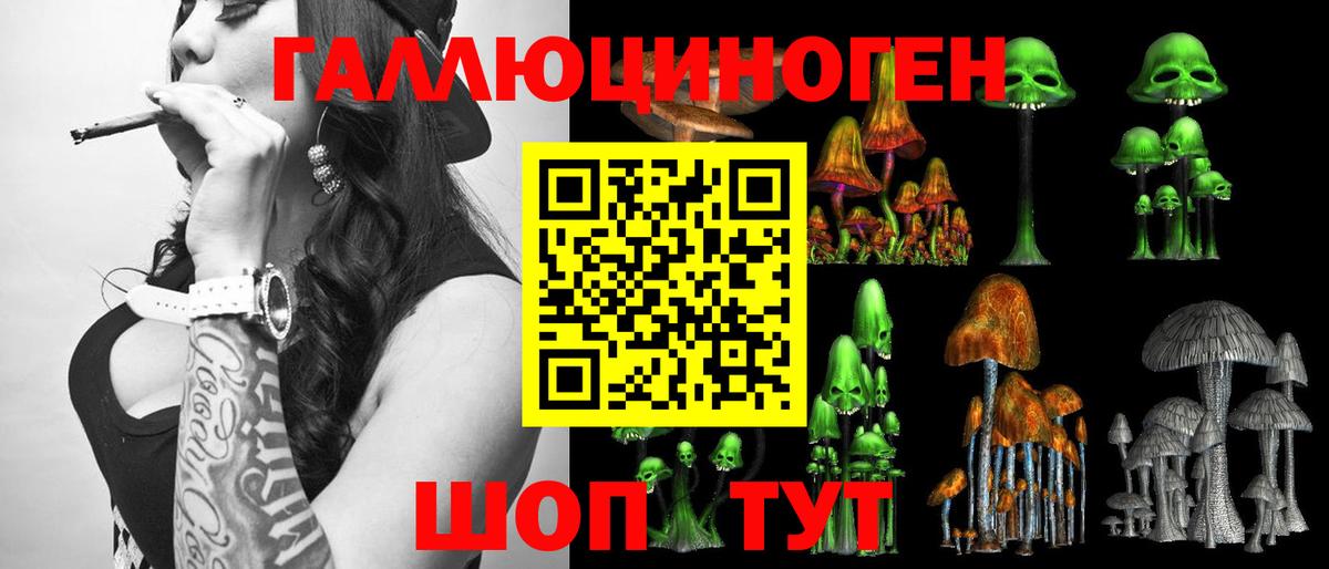 Галлюциногенные грибы MAGIC MUSHROOMS  Вход с VPN  Димитровград 